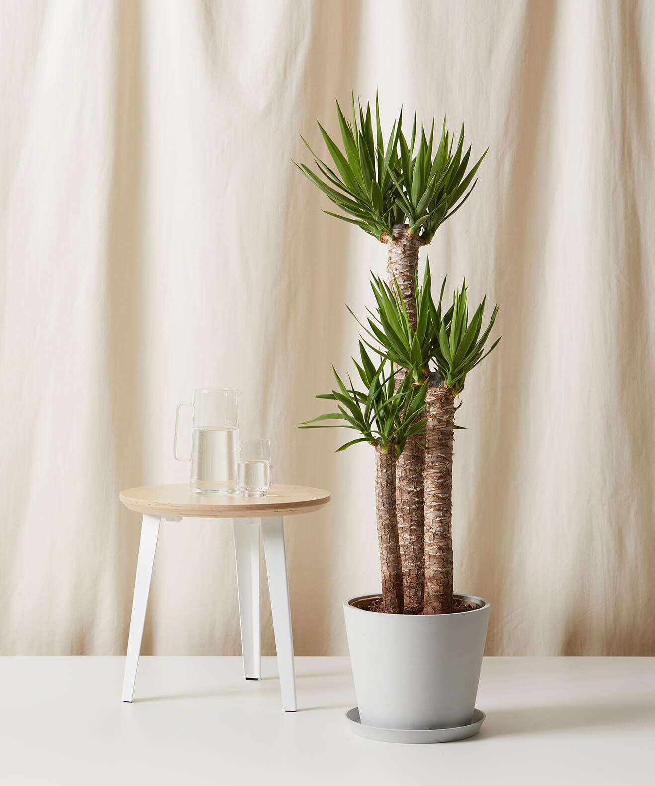 Staggered Yucca Cane -  Stone - Image 0