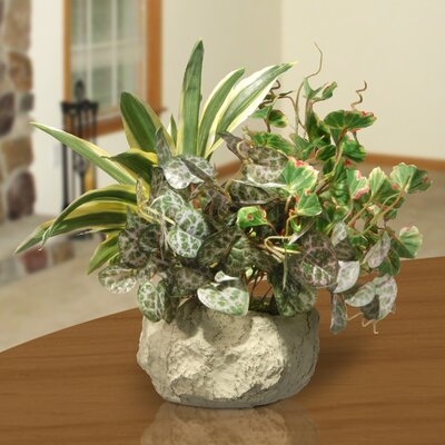 Planterted Plant in Planter - Image 0