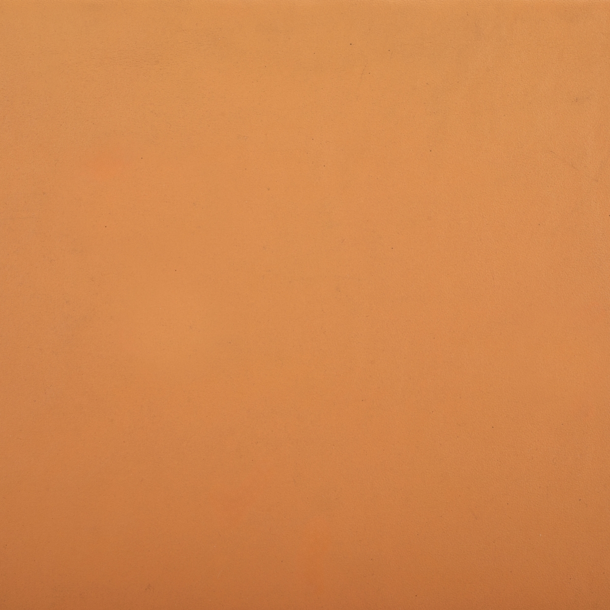 Catriella Leather Dining Chair - Tan / Natural - Image 9