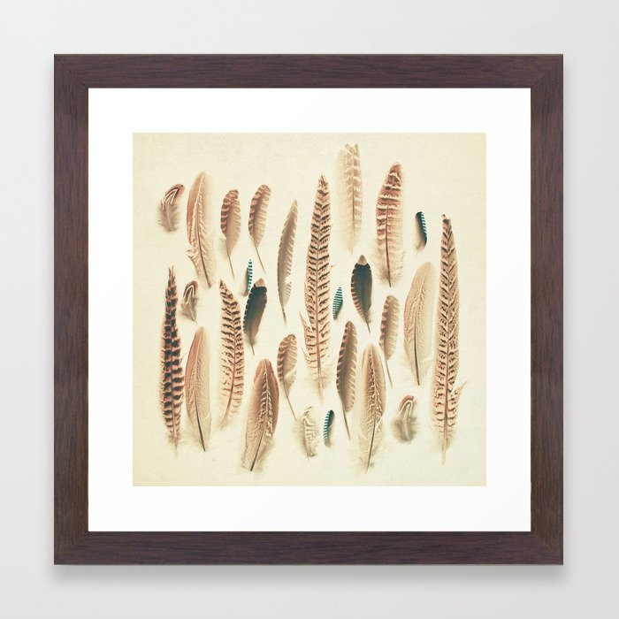 Found Feathers Framed Art Print by Cassia Beck - Conservation Walnut - X-Small 10" x 10"-12x12 - Image 0