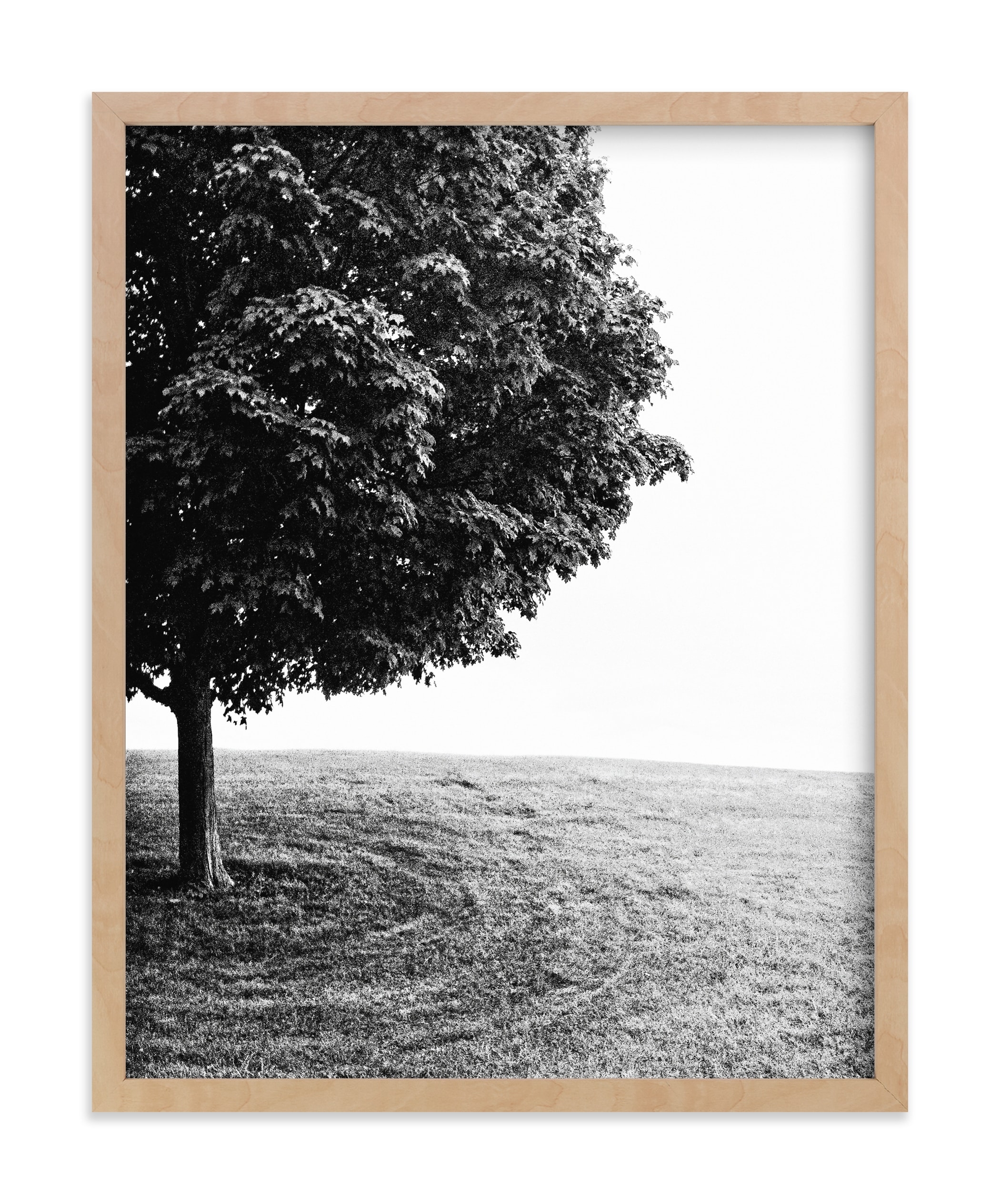 Tree On The Hill Limited Edition Art Print - Image 0