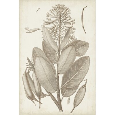 Sepia Exotic Plants I - Image 0