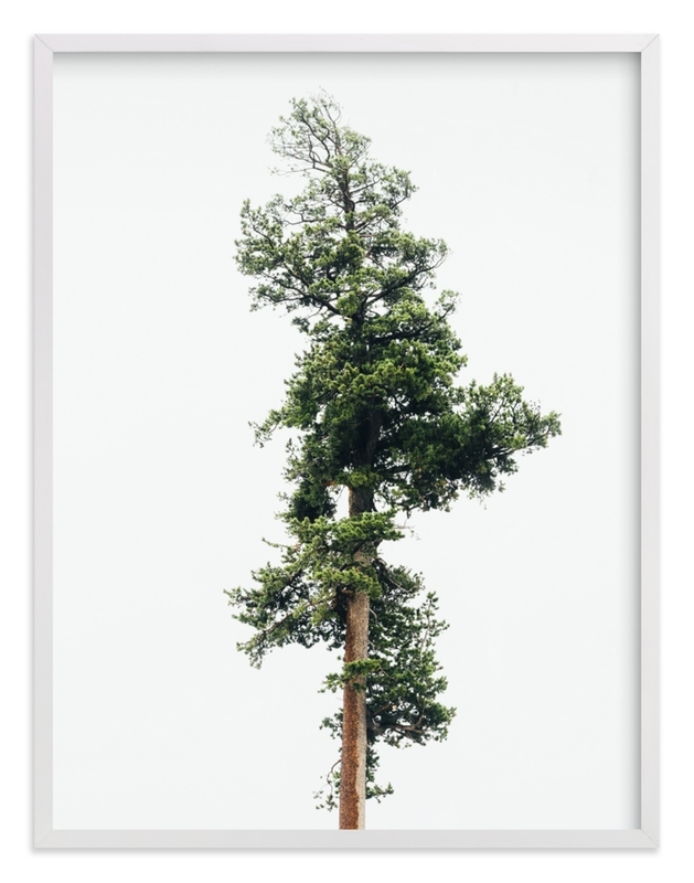 Solo Limited Edition Fine Art Print 1 - Image 0