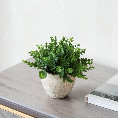 Faux Succulent Plant in Pot - Image 1