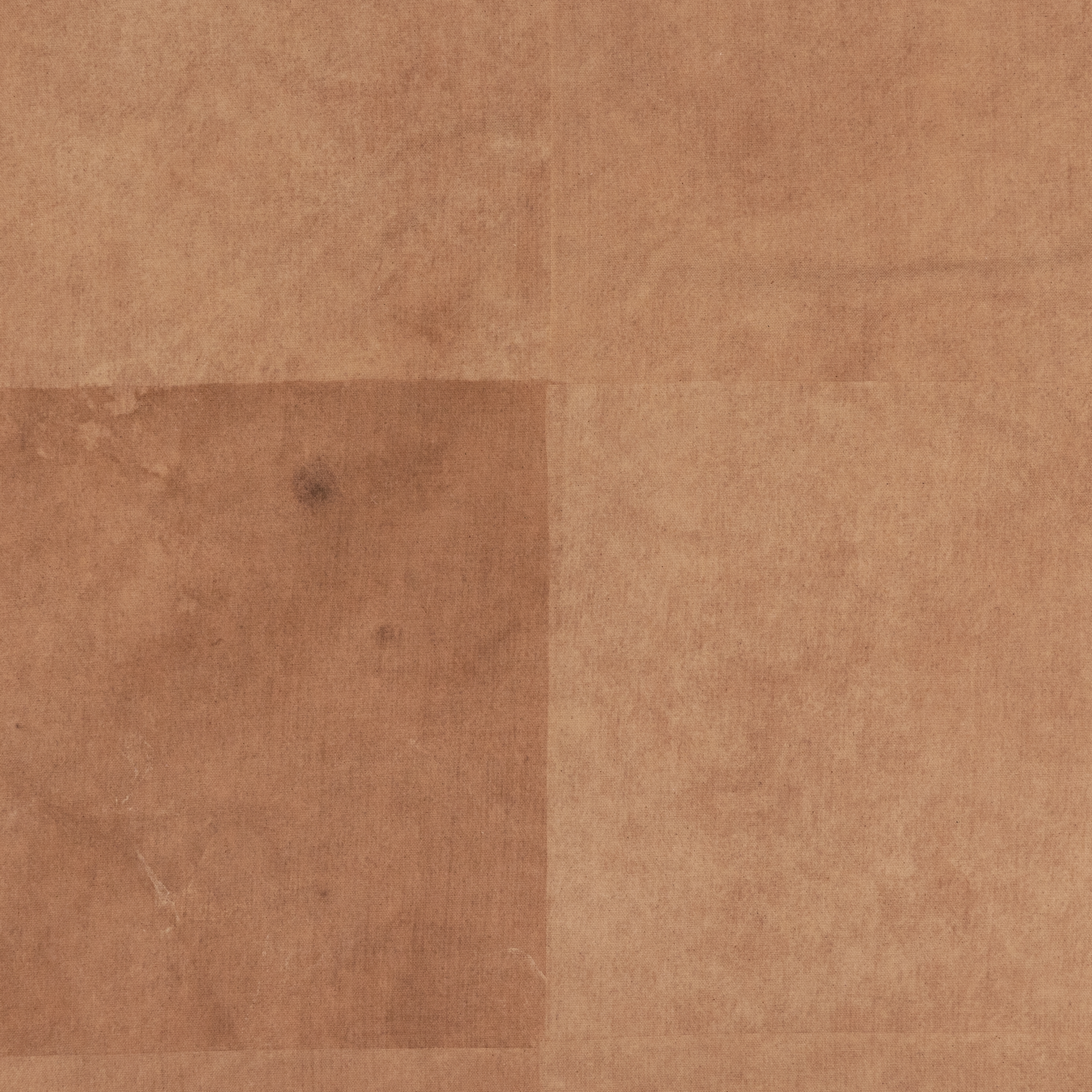 Morning Coffee By Molly Supplee - Image 4