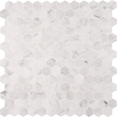 Madeline Hex Honed 2" x 2" Marble Mosaic Tile - Image 0