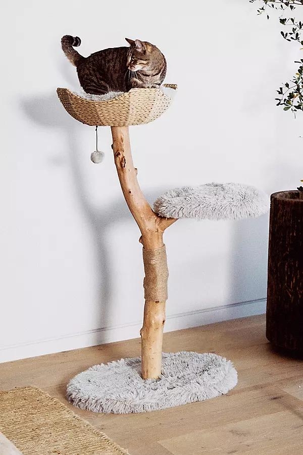 Uni Cat Tree - Image 0