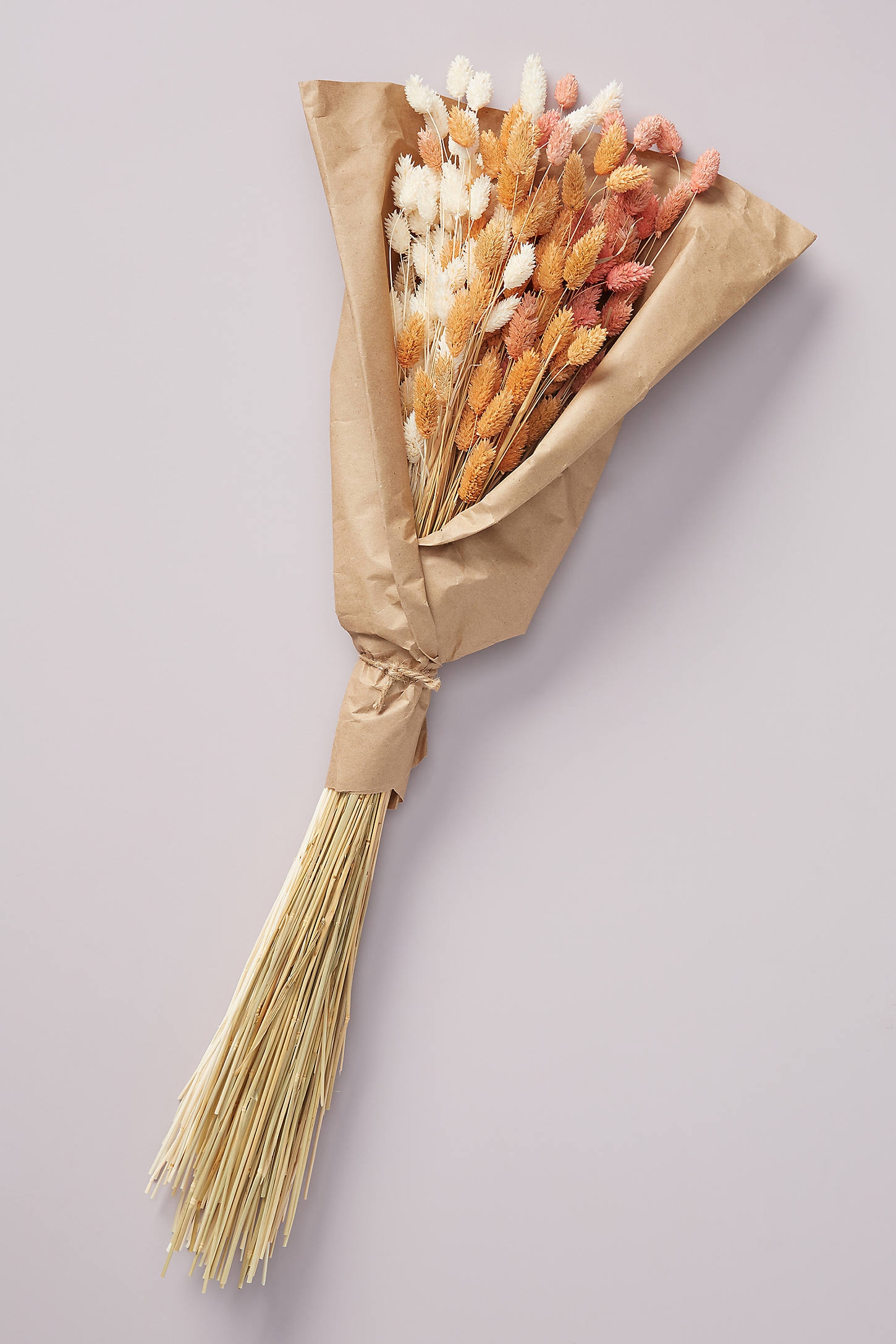 Dried Phoebe Bouquet - Image 0