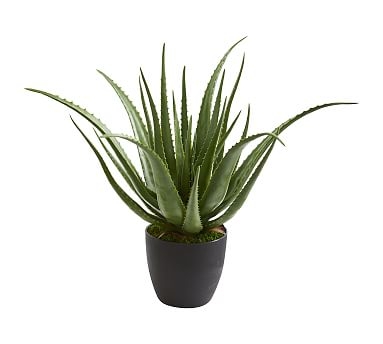 Faux Potted Aloe Plant, 2' - Image 0