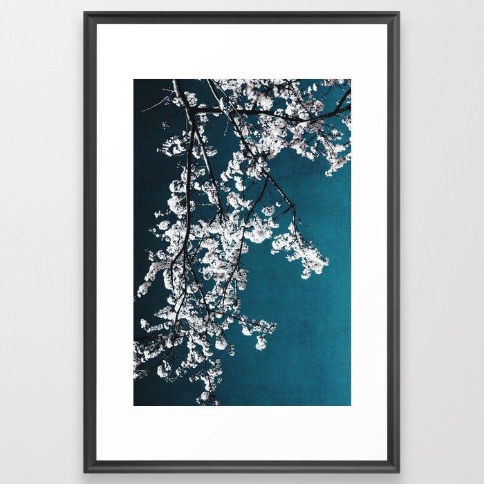 White Blossoms Tree Print - Flowers In Teal - Elegant Floral -  Japanese Nature Photography Framed Art Print by Ingrid Beddoes Photography - Scoop Black - Large 24" x 36"-26x38 - Image 0