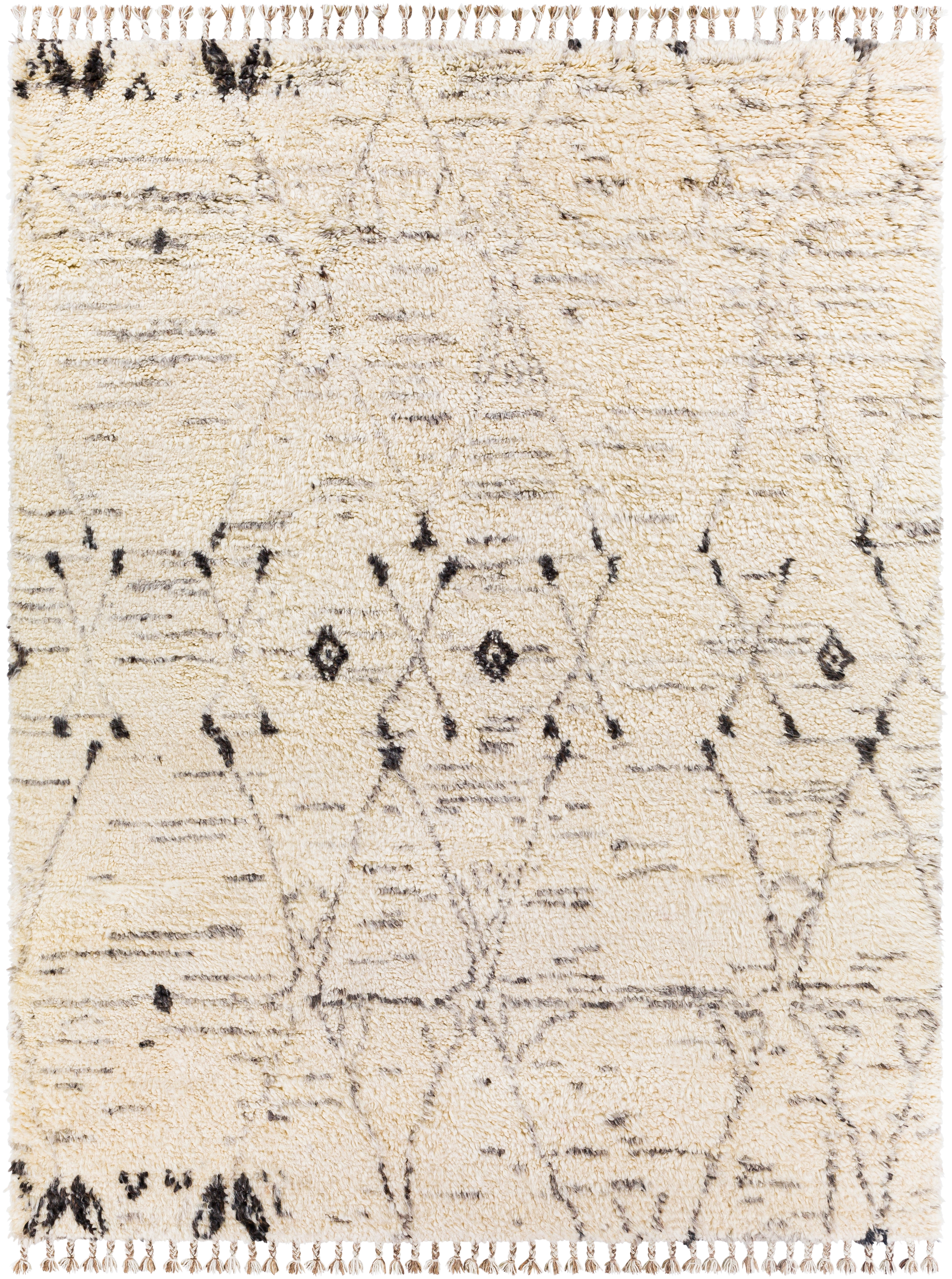 Camille Beige Indoor 10' x 14' Handmade Rug - Image 0