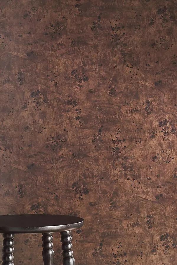 Jeremiah Brent Modern Burl Peel-and-Stick Dark Brown Wallpaper - Image 0