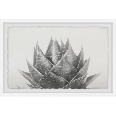 'Agave' - Picture Frame Graphic Art Print on Paper - Image 0