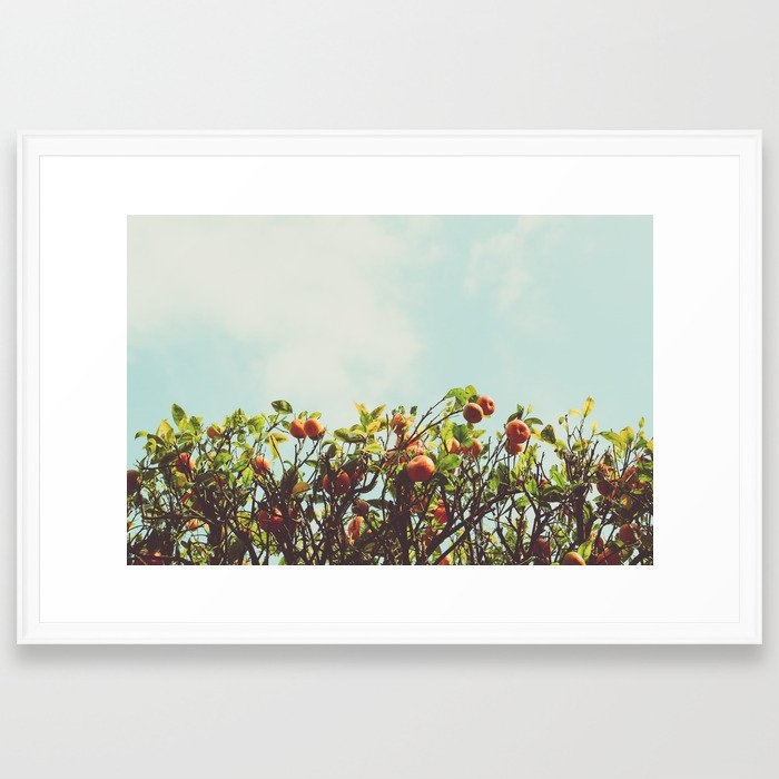 Florida Orange Grove Framed Art Print by Olivia Joy St.claire - Cozy Home Decor, - Scoop White - LARGE (Gallery)-26x38 - Image 0