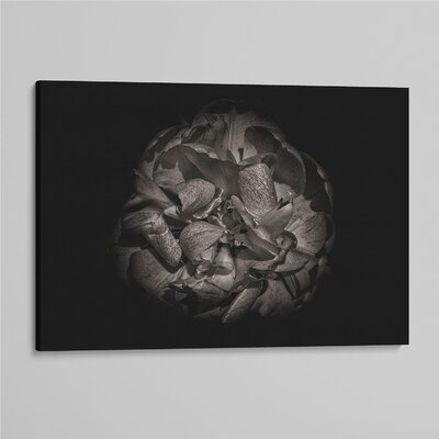 'Backyard Flowers In Black And White 80' - Photographic Print On Wrapped Canvas - Image 0