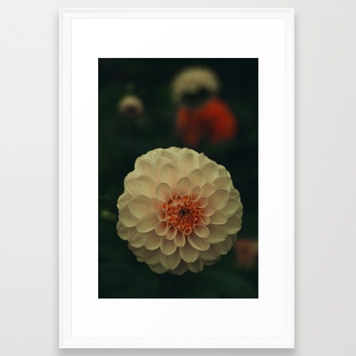 Mystical Botanical Framed Art Print by Olivia Joy St Claire X  Modern Photograp - Scoop White - Large 24" x 36"-26x38 - Image 0