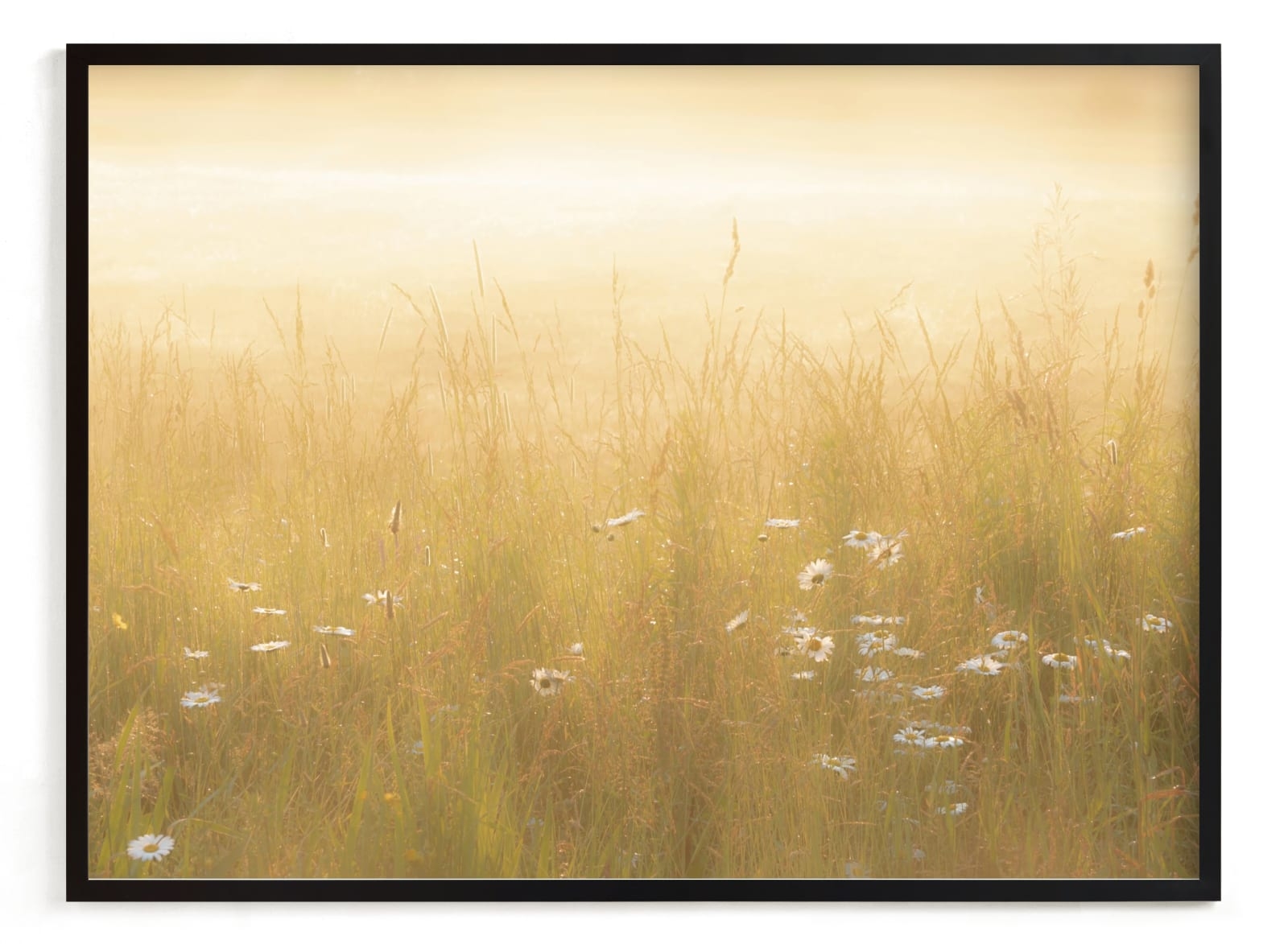 Golden Meadow Limited Edition Fine Art Print 2 - Image 0