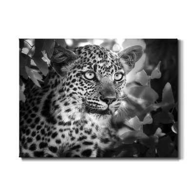 On the Hunt - Wrapped Canvas Photograph Print - Image 0