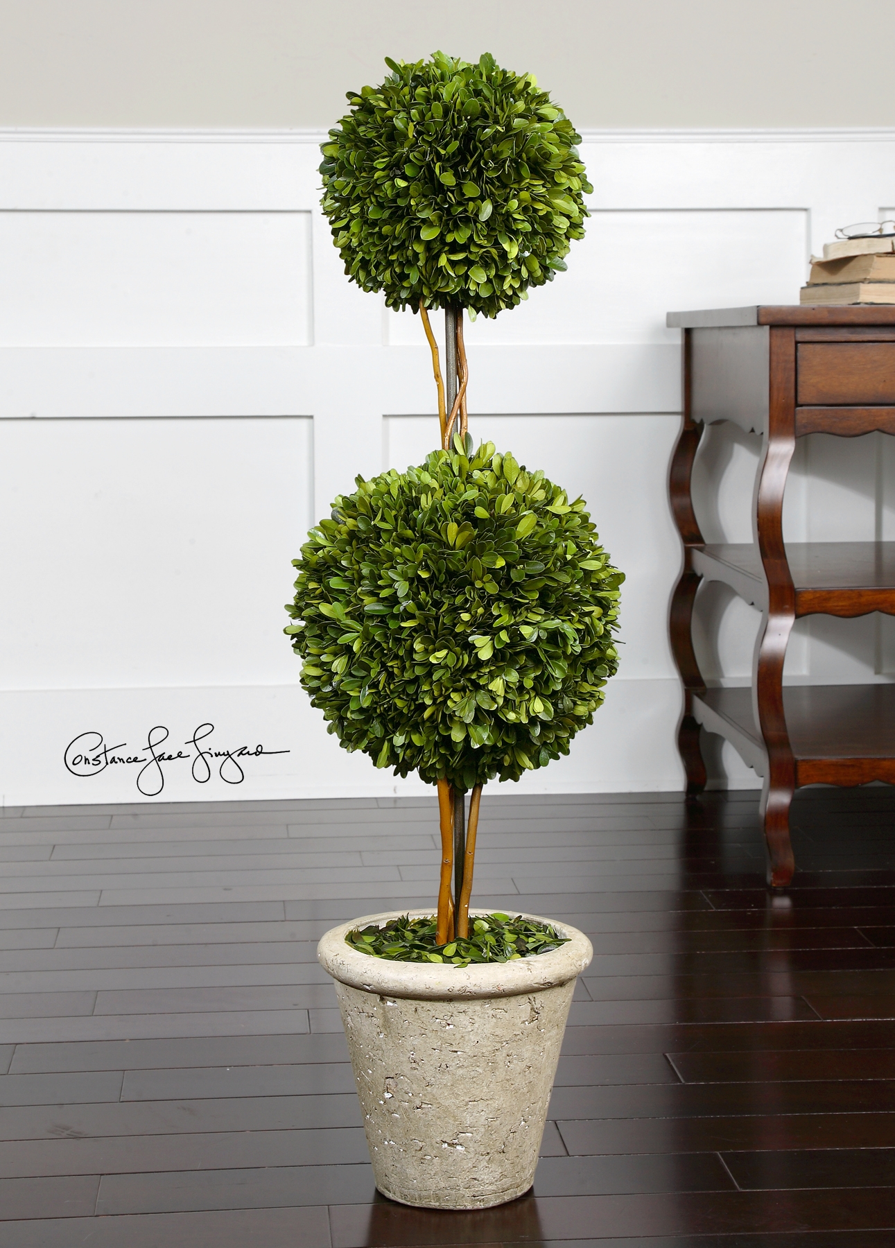 Two Sphere Topiary Preserved Boxwood - Image 1