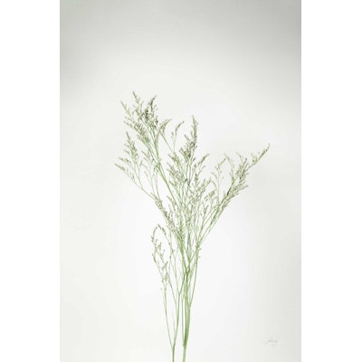Simple Stems VII - Image 0