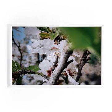 Spring Blossoms by Vitaliy Paykov, 18"x24" - Image 0
