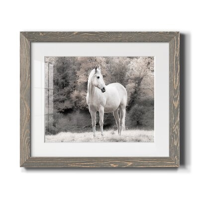 White Mare-Premium Framed Print - Ready To Hang - Image 0