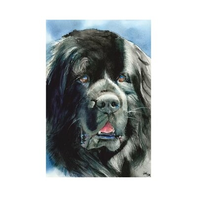 What's Newfie - Newfoundland - Image 0