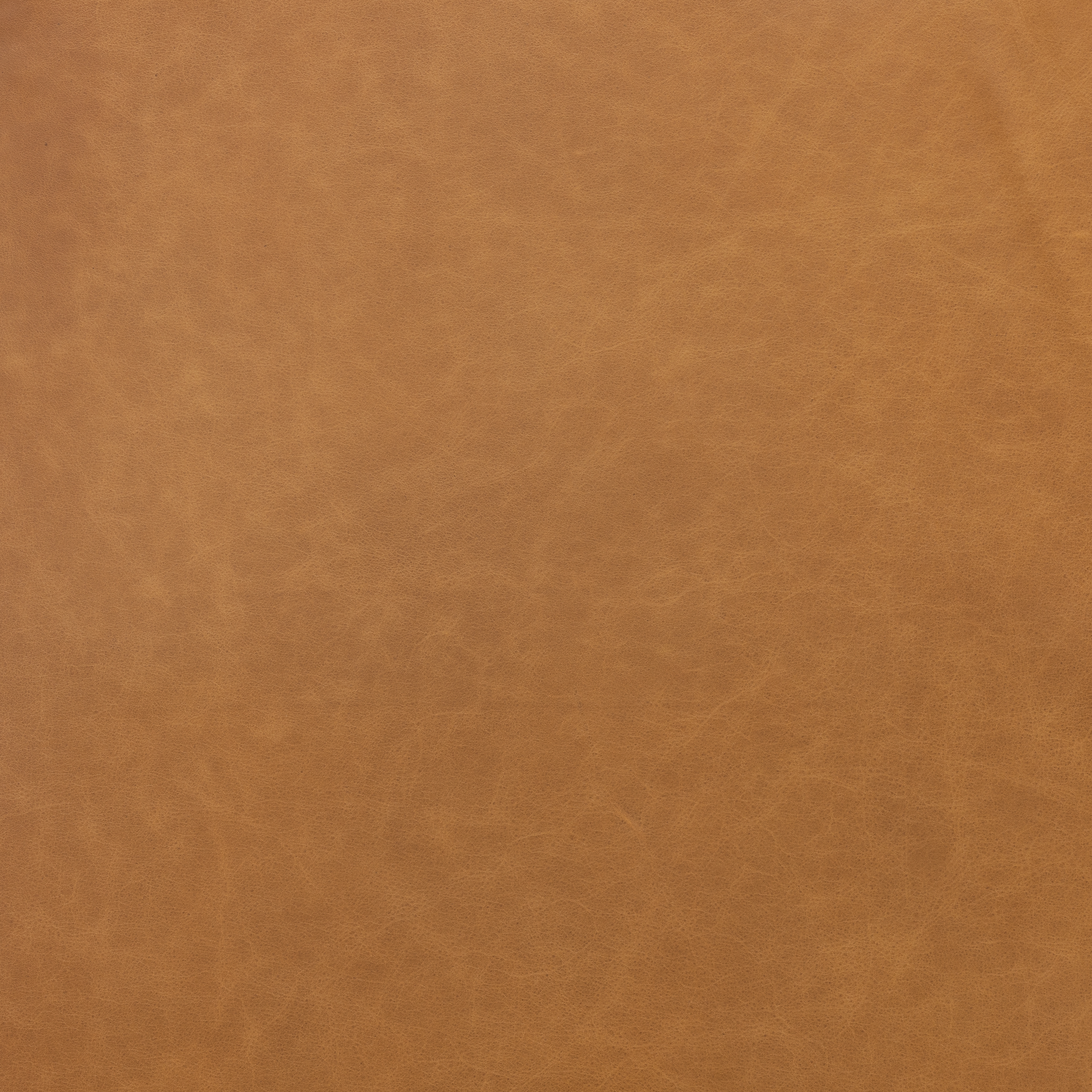 Quinton Swivel Chair - Osorno Camel - Image 5