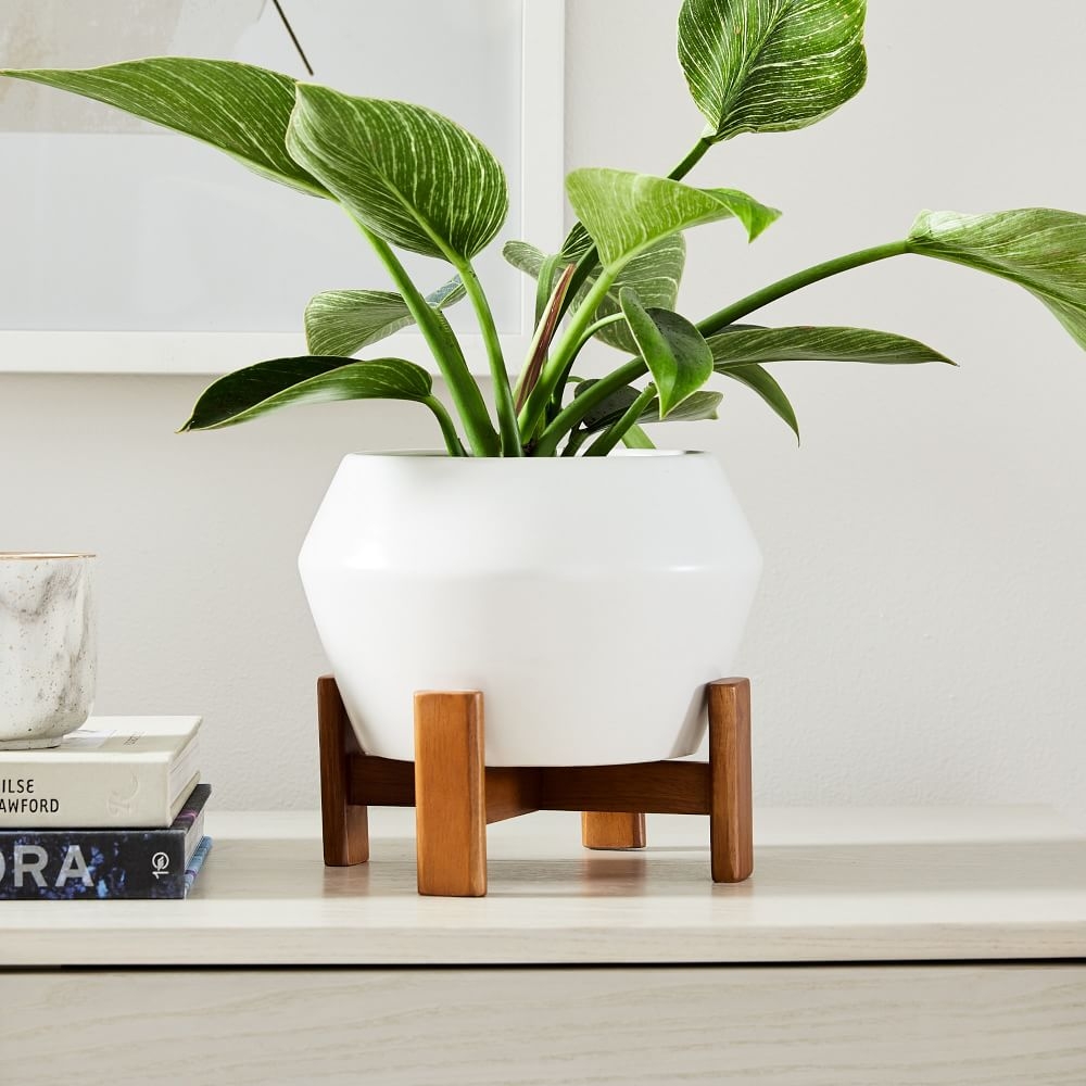 Ilya Turned Wood Tabletop Planter, Small, 8.1"D x 5.5"H, White - Image 0