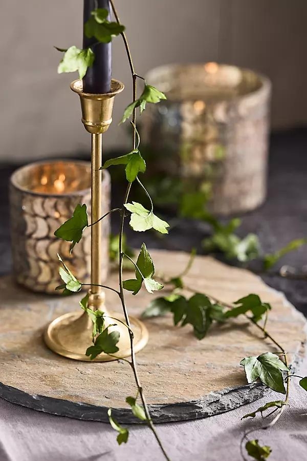Preserved English Ivy Bunch - Image 0