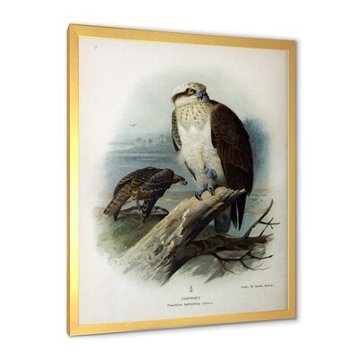 Vintage Bird Life VI - Traditional Canvas Wall Art Print - Image 0