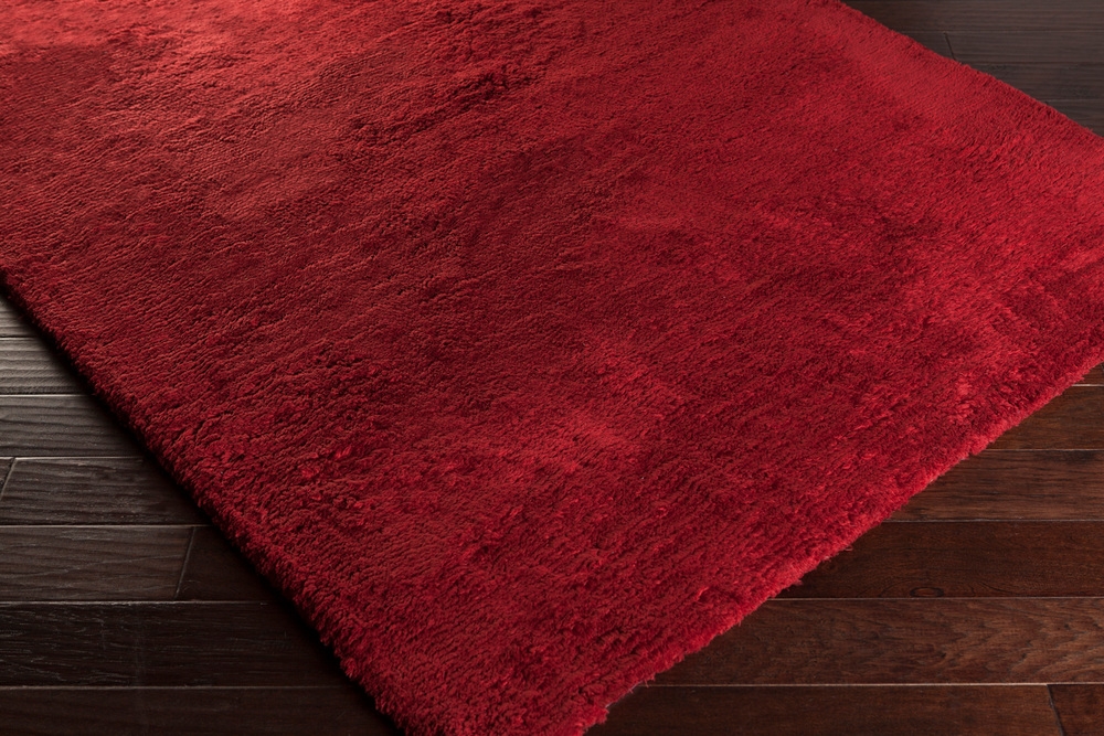 Pado Red Indoor 2' x 3' Handmade Rug - Image 1