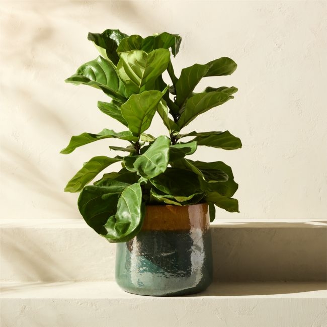 Tramonto Round Two-Tone Green and Natural Reactive Glaze Ceramic Indoor/Outdoor Planter Medium - Image 0