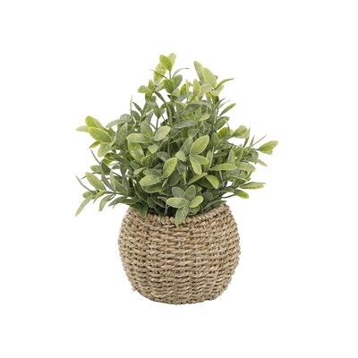 Andreana 11.75'' Faux Herbs Plant in Rattan Basket - Image 0