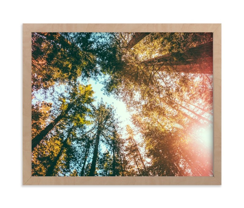 Redwoods Surround Me Limited Edition Fine Art Print 1 - Image 0