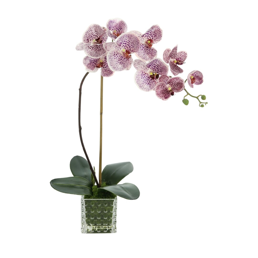 Creative Displays, Inc. Arrangement Orchid in Vase - Image 0