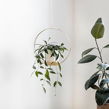 Plant Hanger, Small - Image 3