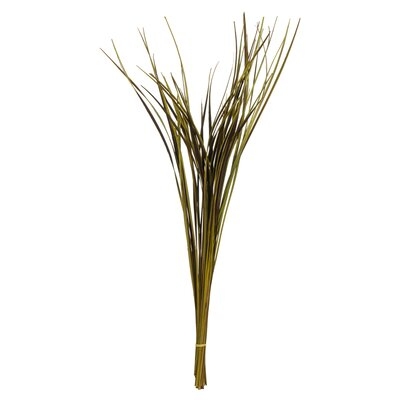 28"-36" Splinter Grass Bundle, 22oz Dried - Image 0