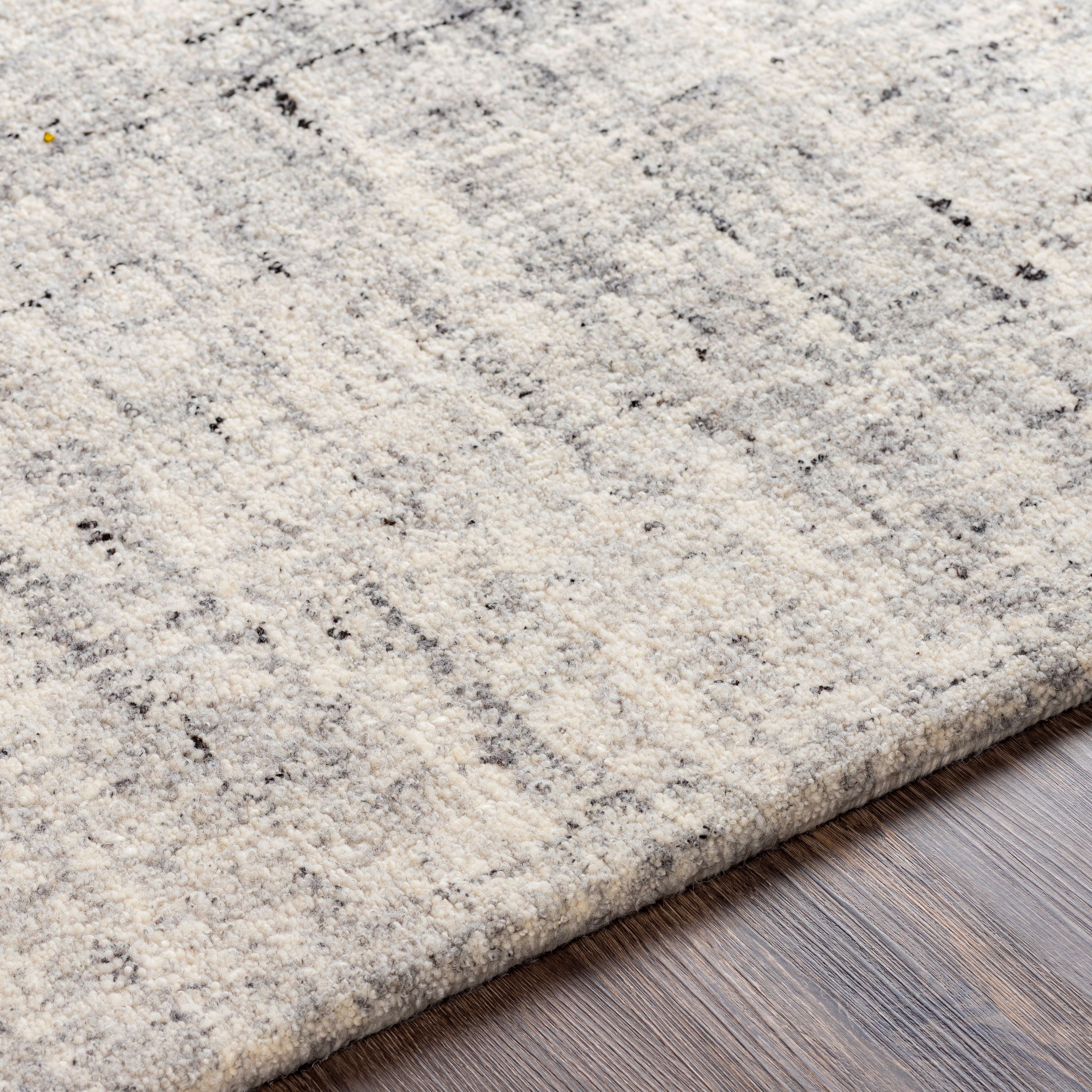 Lucca Beige Indoor 8'10" x 12' Handmade Rug - Image 2