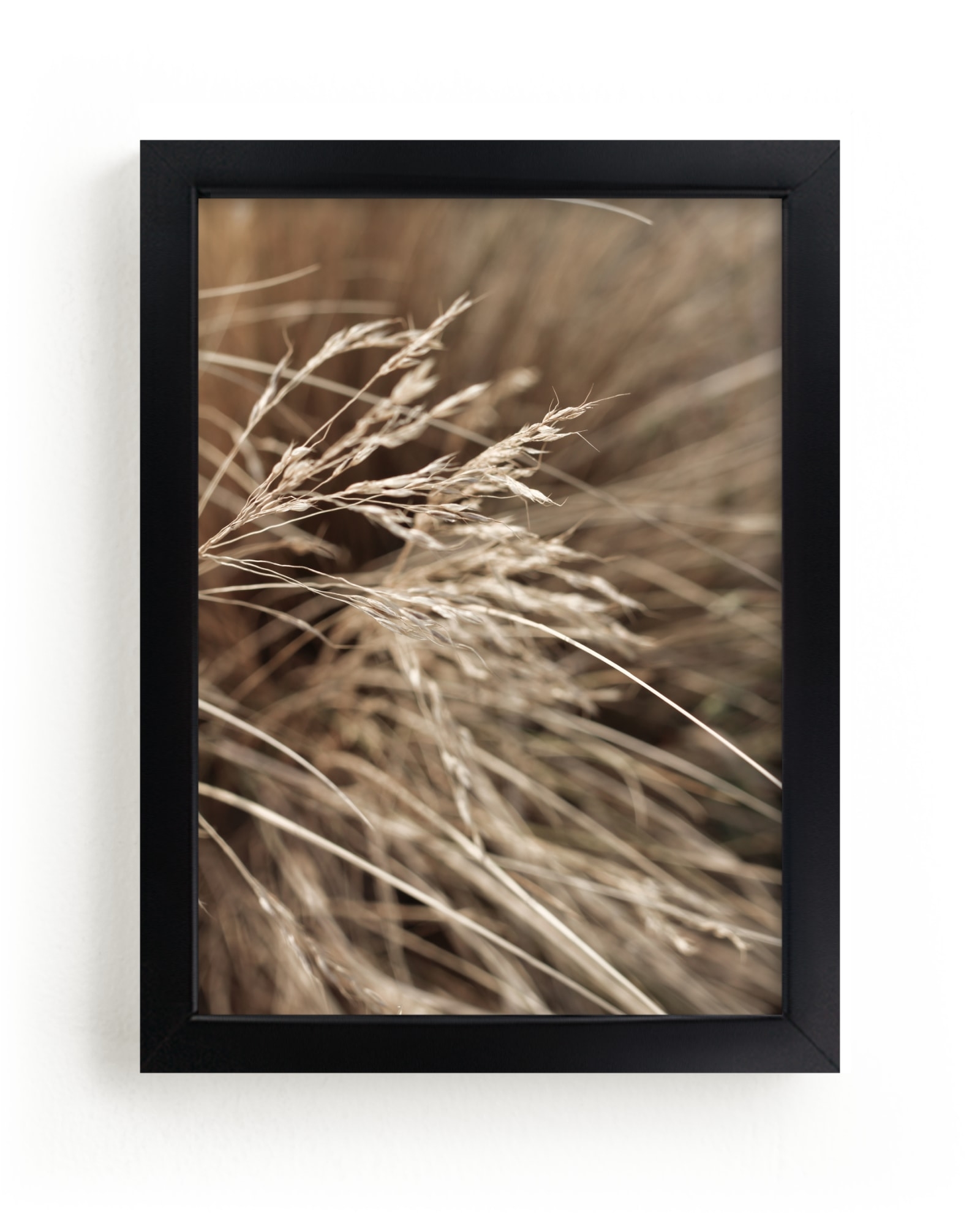 Summertime 2 Limited Edition Fine Art Print 2 - Image 0