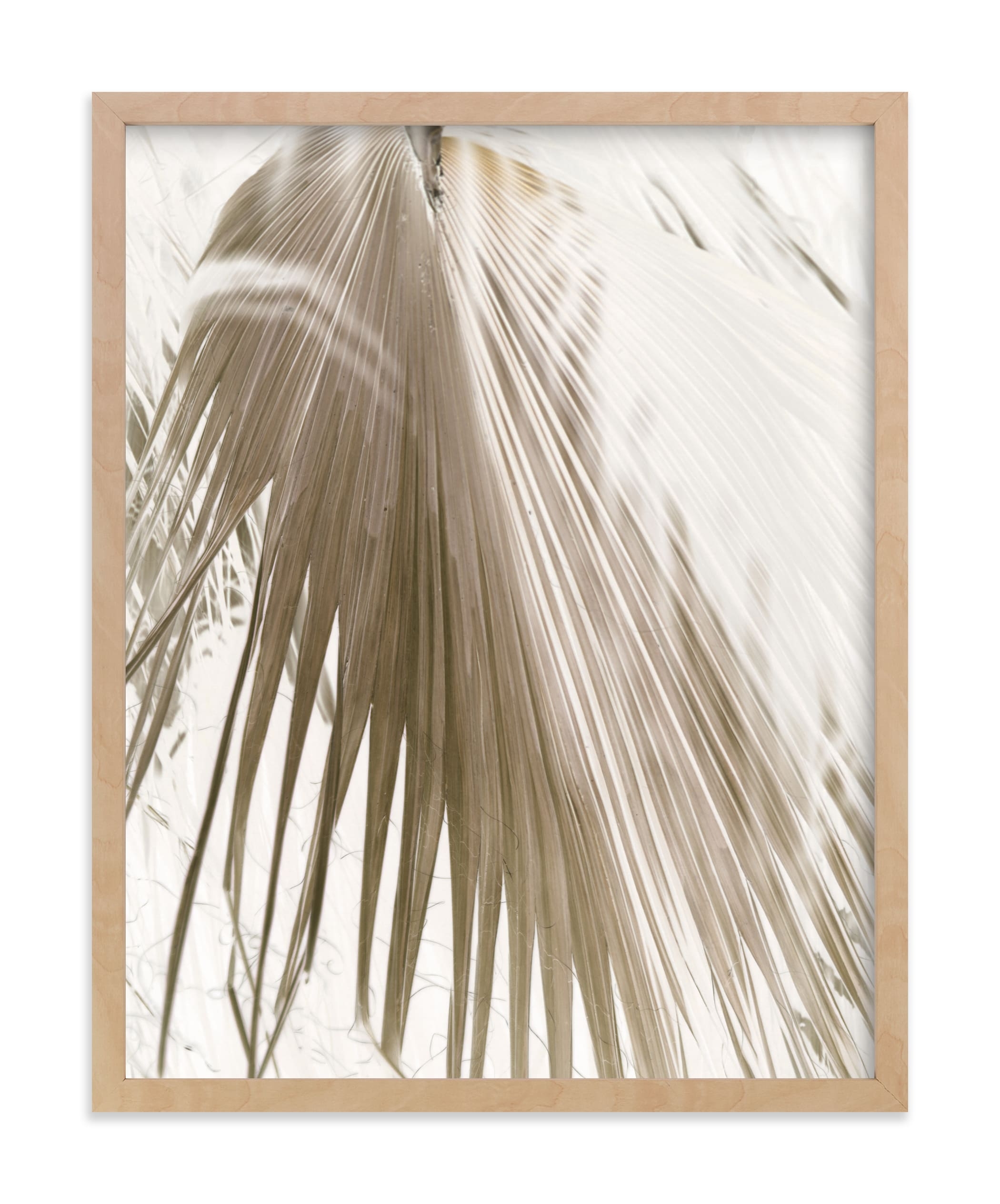 Vanilla Palm Art Print - Image 0