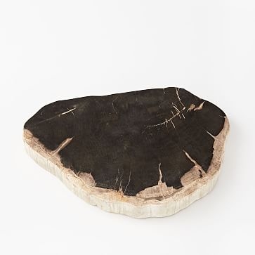 Petrified Wood Cheese Board - Image 1