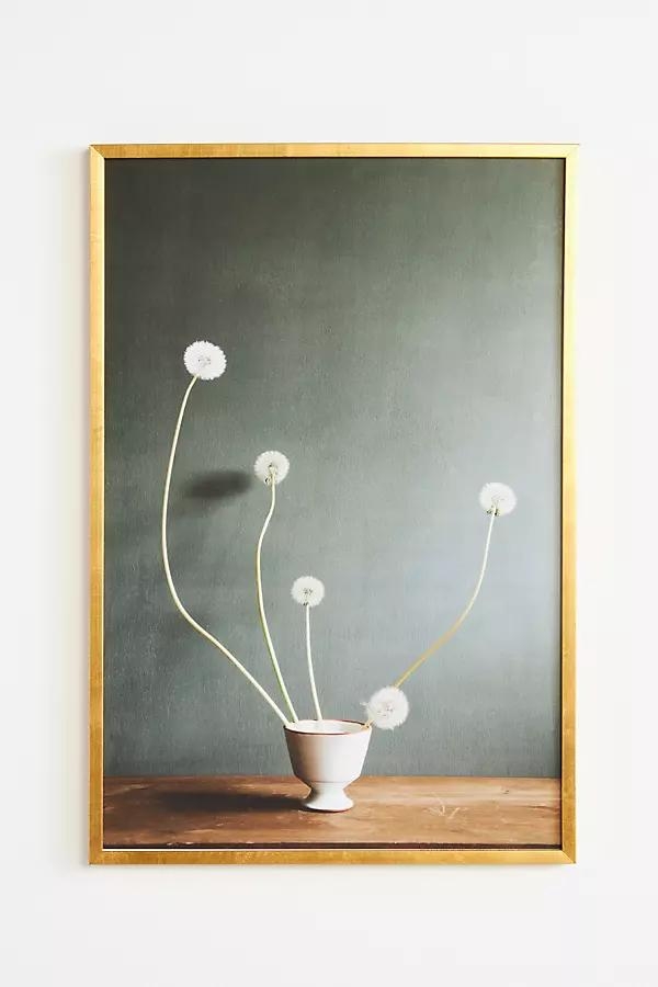 Dandelions Wall Art - Image 0