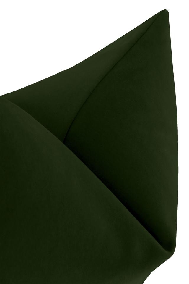 Signature Velvet Throw Pillow Cover, Fern, 22" x 22" - Image 1