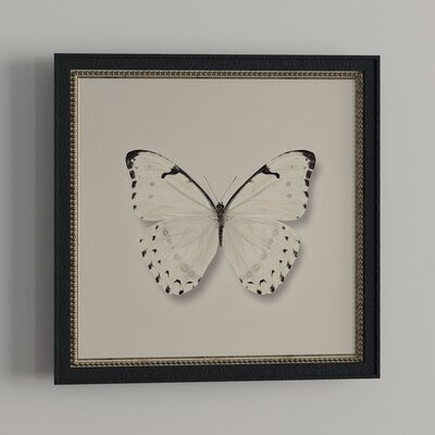 'Butterfly II BW' - Picture Frame Graphic Art Print on Paper - Image 0