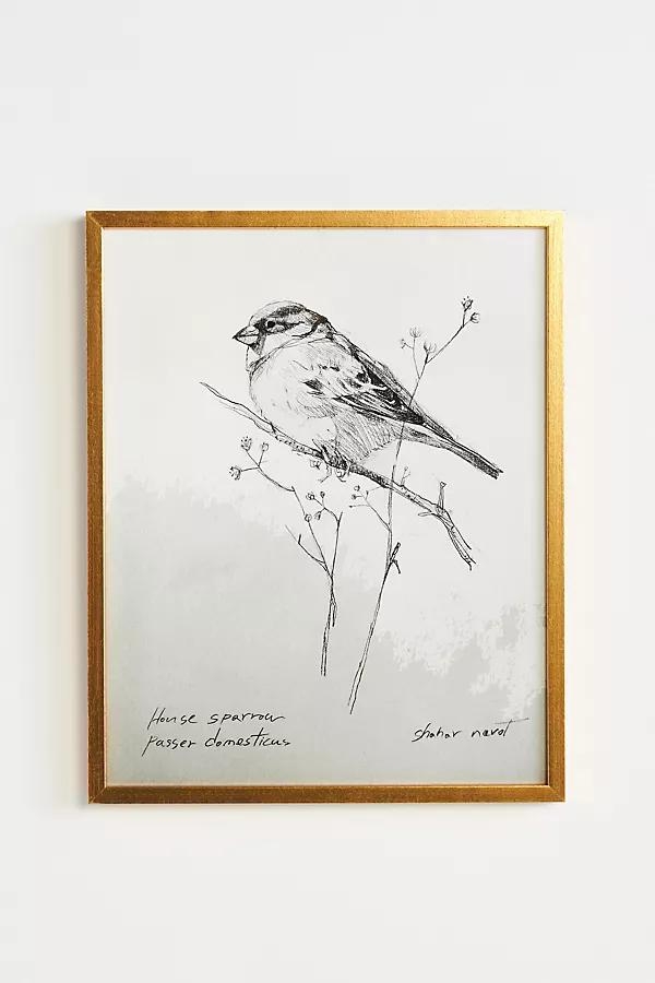 Sparrow Wall Art - Image 0