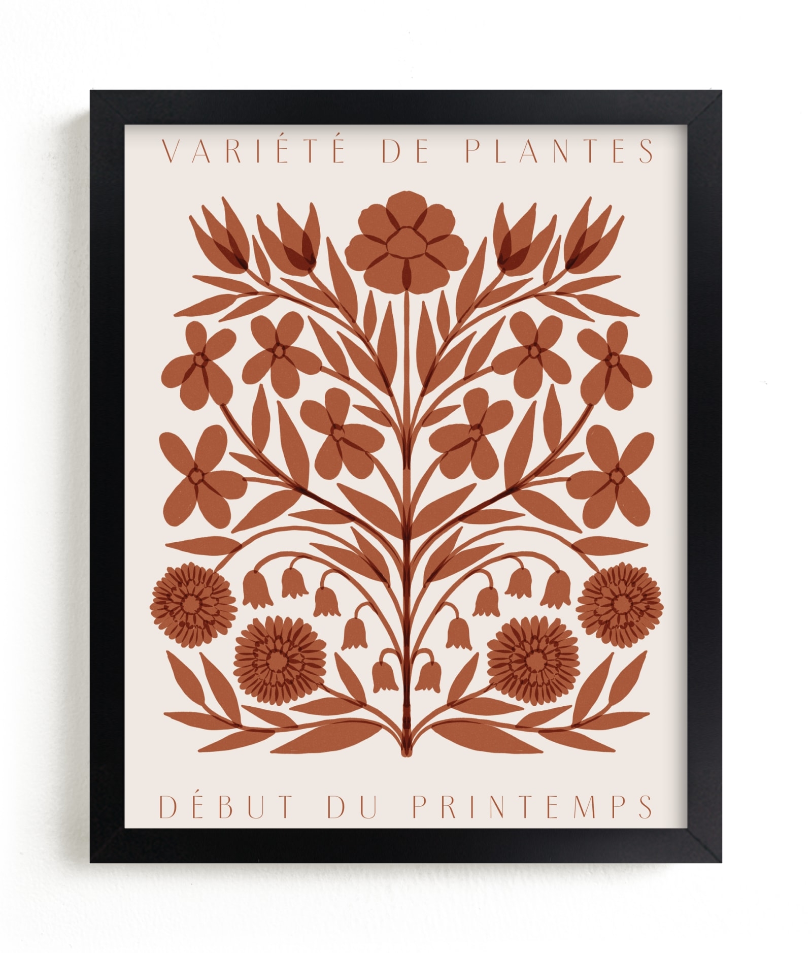 Les Plantes I Open Edition Fine Art Print - Image 0