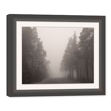 Foggy Forest, Medium - Image 0