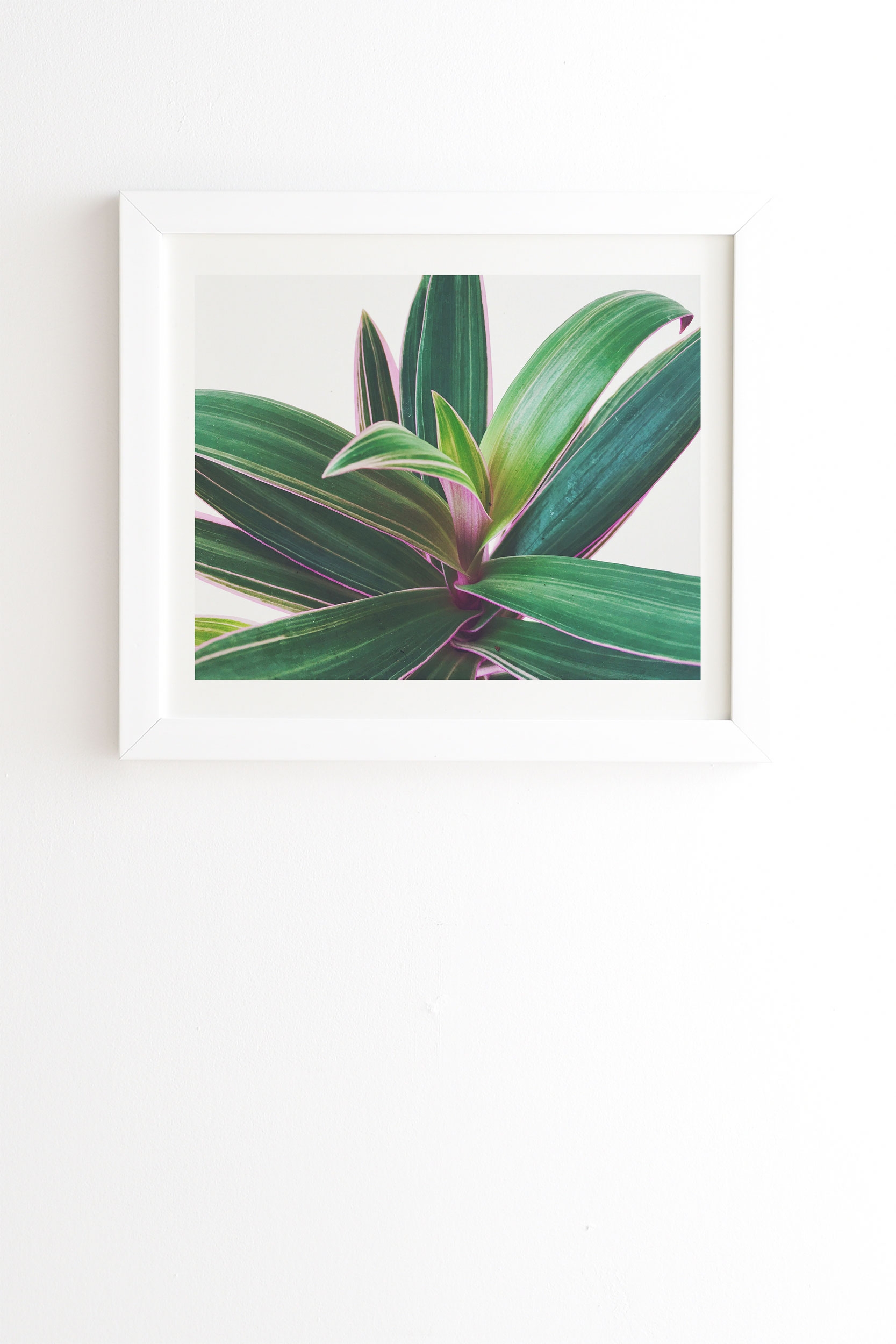 Oyster Plant by Cassia Beck - Framed Wall Art Basic White 8" x 9.5" - Image 0