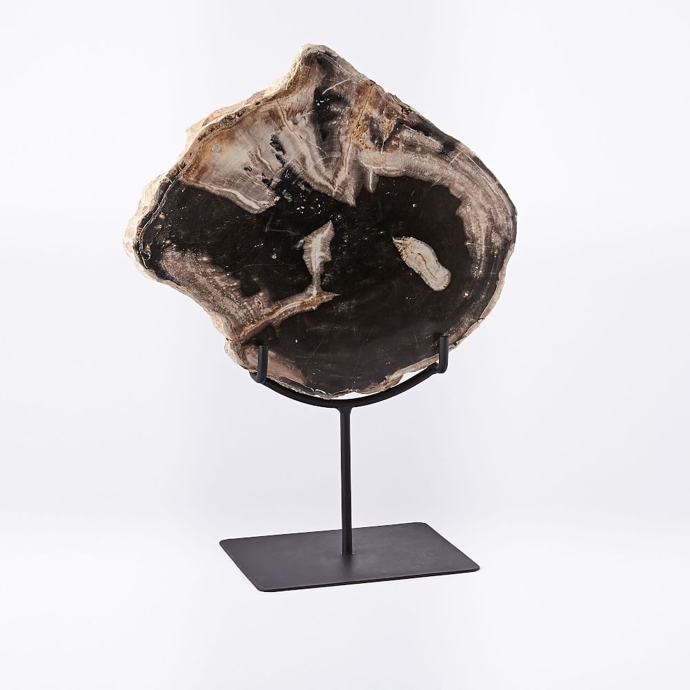 Petrified Wood Object on Stand, Large - Image 0